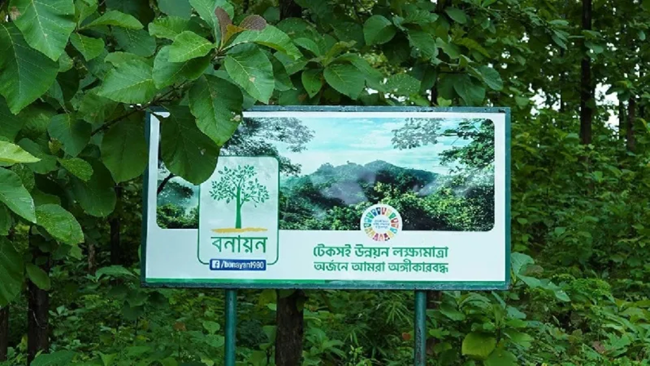 ৪৬ বছরে ১৩ কোটি চারা বিতরণ, এবার ৫০ লাখের লক্ষ্য বনায়নের...