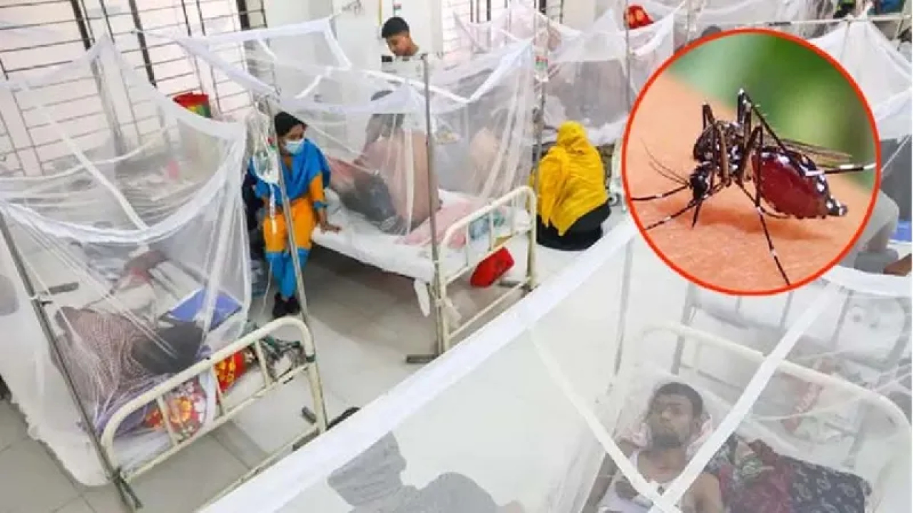 ডেঙ্গুতে একদিনে ৪ মৃত্যু